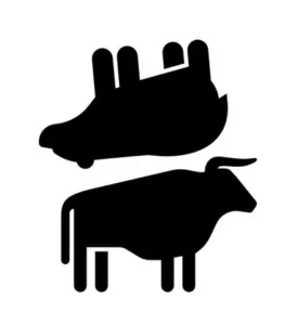 Beteiligungen